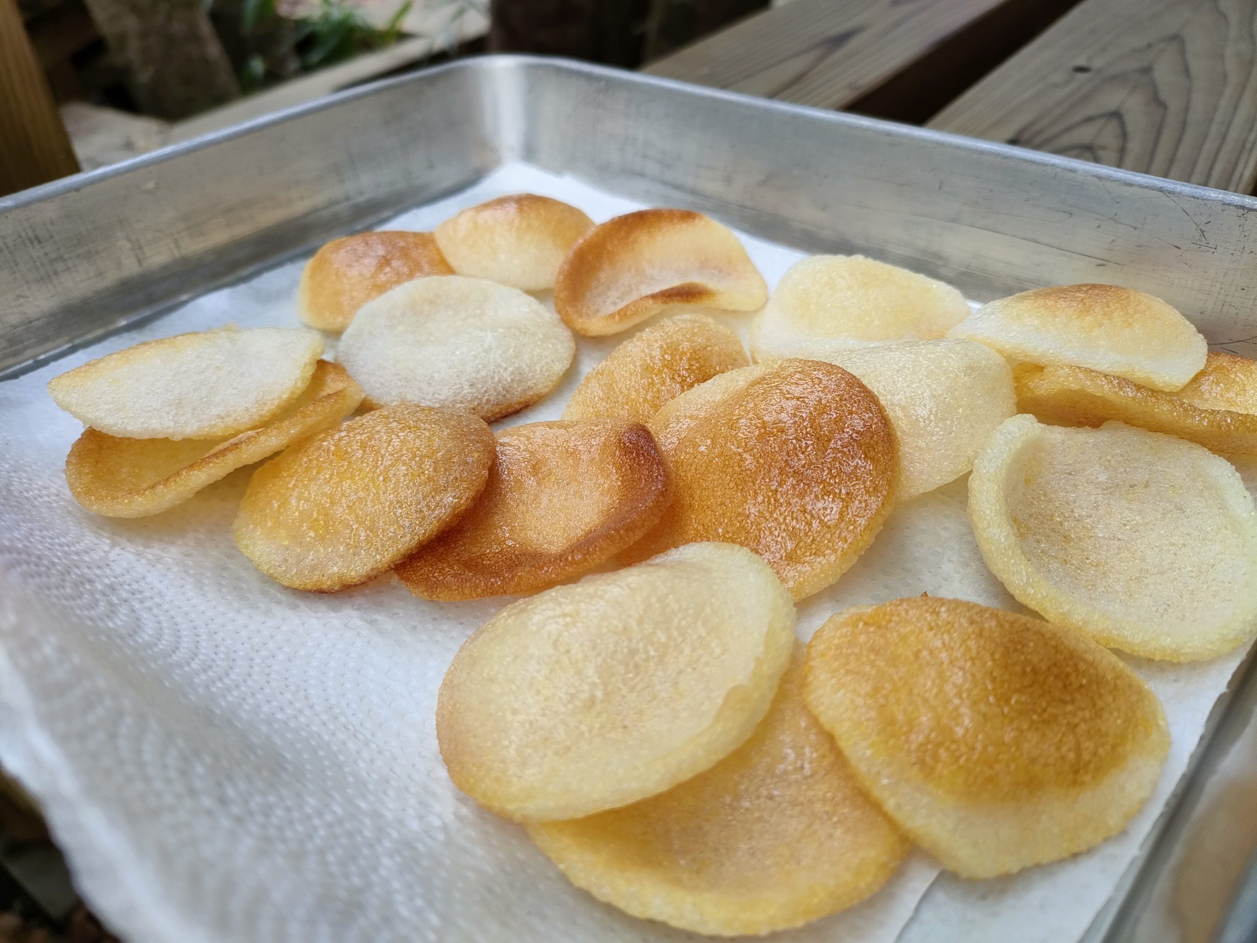 今年最後の「風」でした～