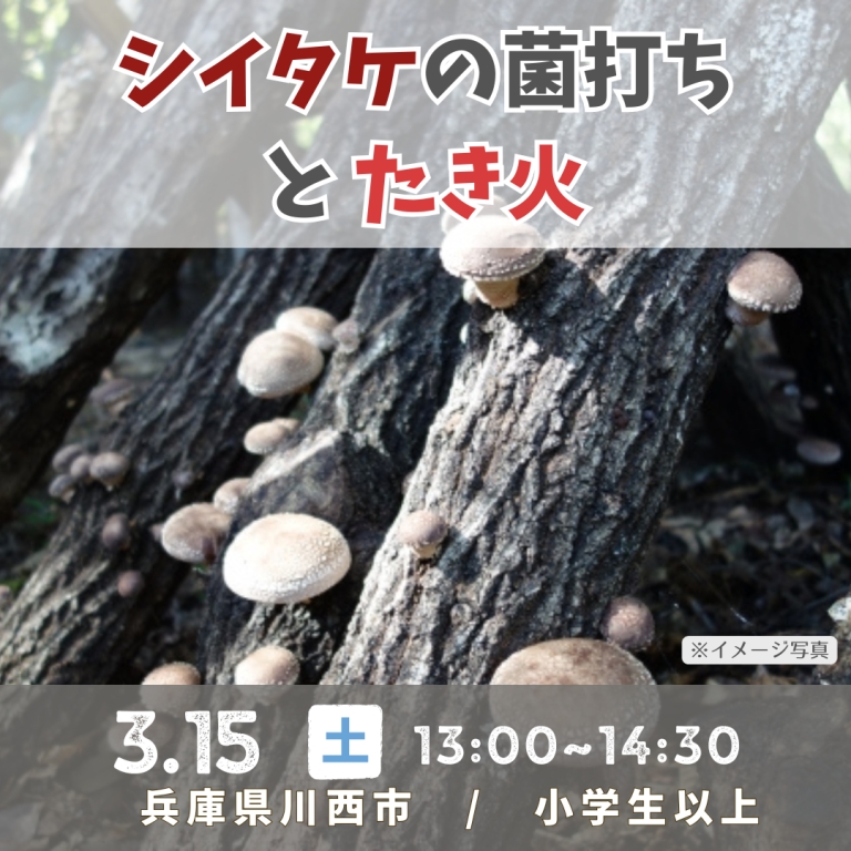 ※3月1日(土)10時より参加者募集を開始します！